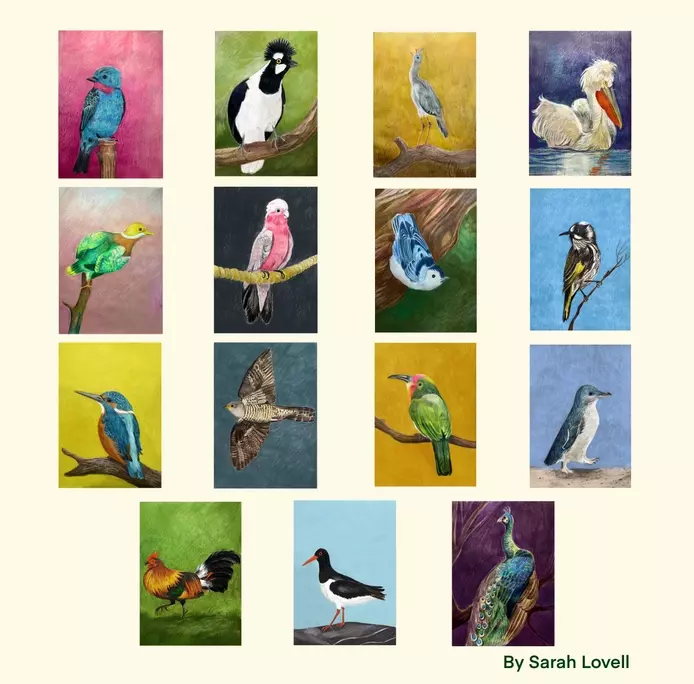 mixed media illustrations of birds for Birbfest 2026